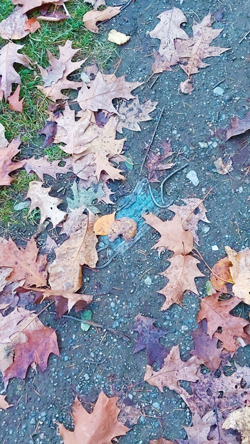 Mask on the ground