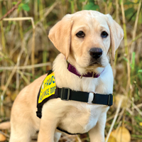 Update Magazine: Spring 2026 - Off Duty - Growing Up Hazel